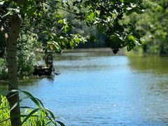 -溱湖国家湿地公园