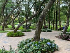 -人民公园(罗湖区)