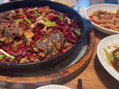 -老板恋上鱼(恒隆广场店)