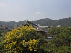 -弄堂里·寻味杭州(湖滨银泰in77C区店)