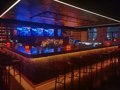 -罗斯福色戒酒吧(外滩店)