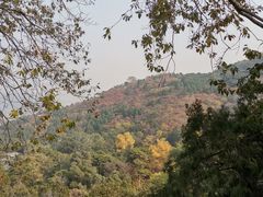 -香山公园