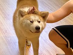 -YCHL Studios健身工作室(市二宫店)