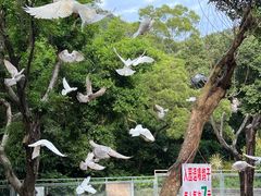 -柳州市动物园