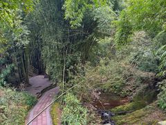 -凤栖山