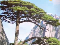 -黄山风景区