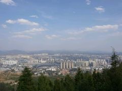 -长虫山生态公园风景林