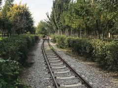 -西青郊野公园