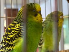 -蒲黄榆(地铁站)