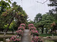 -东北大学(南湖校区)