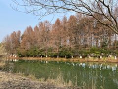 -苏州太湖国家湿地公园