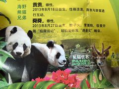 -海南热带野生动植物园