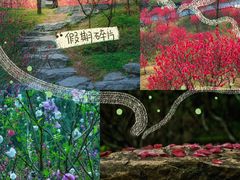 -桃花涧