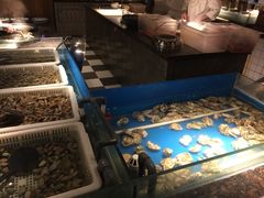 -多伦多海鲜自助餐厅(百盛购物中心三阳店)