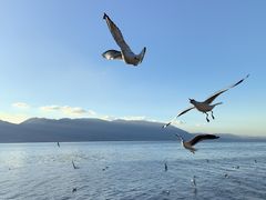 -大理洱海