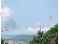 -亚龙湾热带天堂森林公园