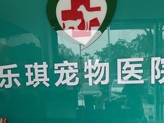 -乐琪宠物医院·犬猫专科·骨外科·急重症