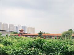 -曹州百花园