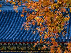 -香山公园