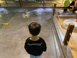 -酷嗒动物文化乐园(cutezoo西溪乐天城店)