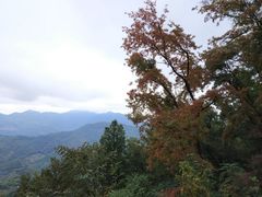 -广州市石门国家森林公园
