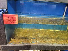 -华盛丰温州大排档(东三环南路店)