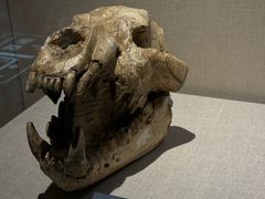 -安徽省地质博物馆