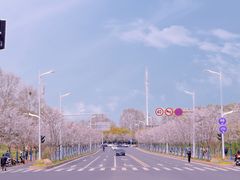 -幕燕滨江·燕子矶公园