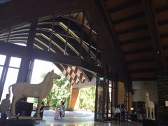 -三亚湾海居铂尔曼度假酒店