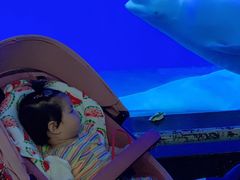 -泉城欧乐堡海洋极地世界