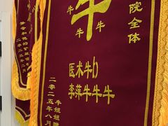 -瑞派康怡24h宠物医院·犬猫医疗中心·微创绝育(瑞景分院)