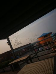 -小蜜蜂农场(凯德七宝购物广场店)