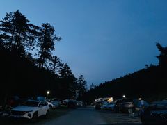 -武陵山森林公园