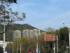 -大梅沙海滨公园