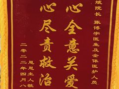 -瑞派宠物医院·中兽医专科(中央商城分院)