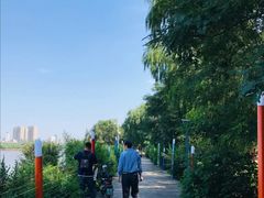 -长白岛森林公园