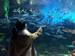 -华夏文旅海洋公园