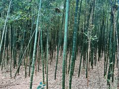 -同里国家湿地公园