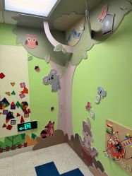 -杭州贝瑞斯美华妇儿医院·早孕·产检·儿科