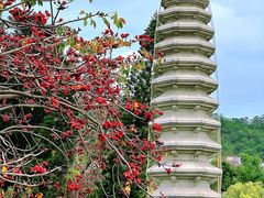 -南普陀寺