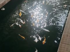 -侠成水上农庄(工业大道店)