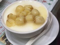 -义顺牛奶公司(新马路老店)