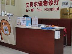 -艾贝尔宠物诊疗