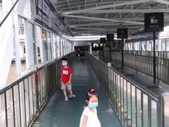 -武汉关码头(轮渡站)