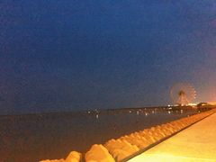 -碧海金沙
