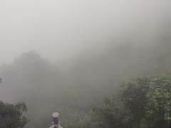 -少华山国家森林公园