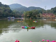 -广州市帽峰山景区