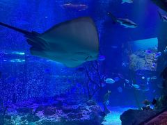 -沈阳海洋探索中心