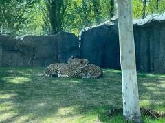 -北京野生动物园