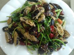 干煸茧蛹-杨记小骨头羊杂馆(南五马路店)